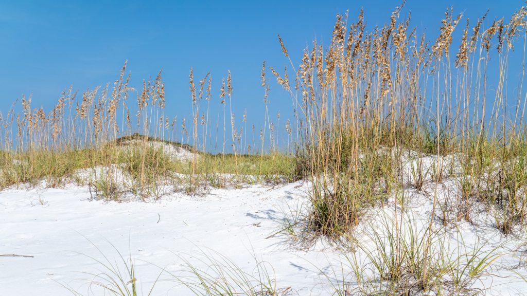 White sand dunes at Topsail Hill Preserve State Park in Santa Rosa Beach, Florida