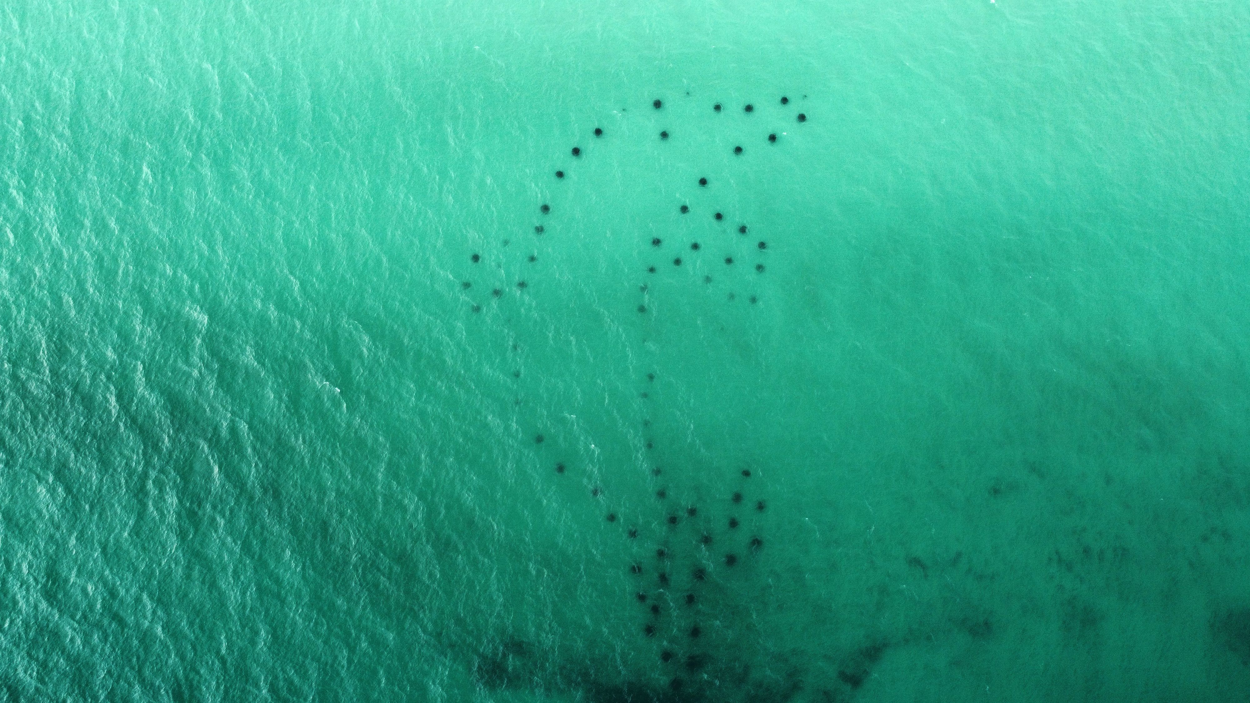 Aerial view of turquoise Gulf water at Miramar Beach, Florida